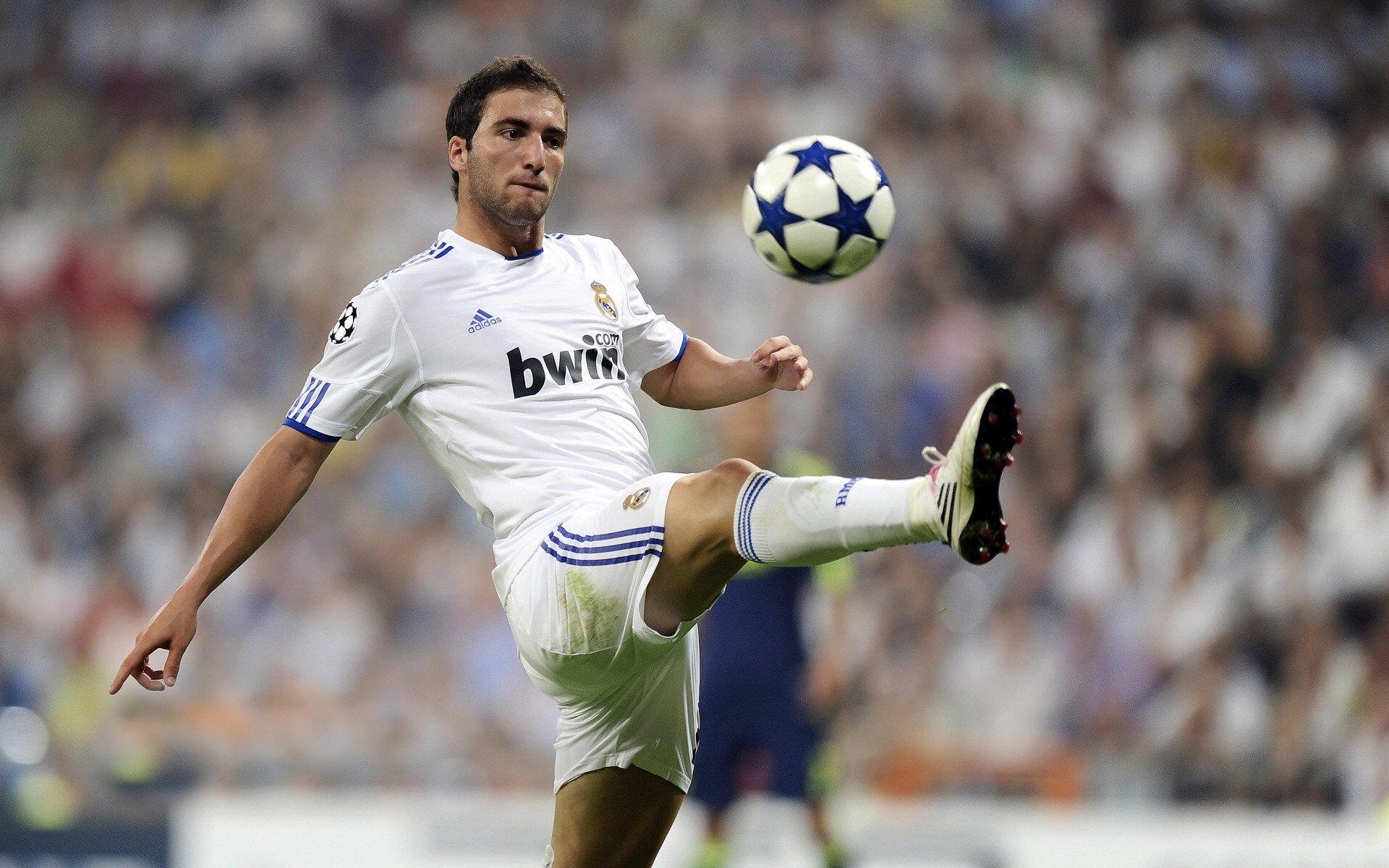 KAIYUNAPP-西班牙骑手何塞·玛丽亚·拉罗卡在比利时布鲁塞尔Stephex Masters大奖赛中夺得冠军，成为50年来首位获此殊荣的西班牙骑手。